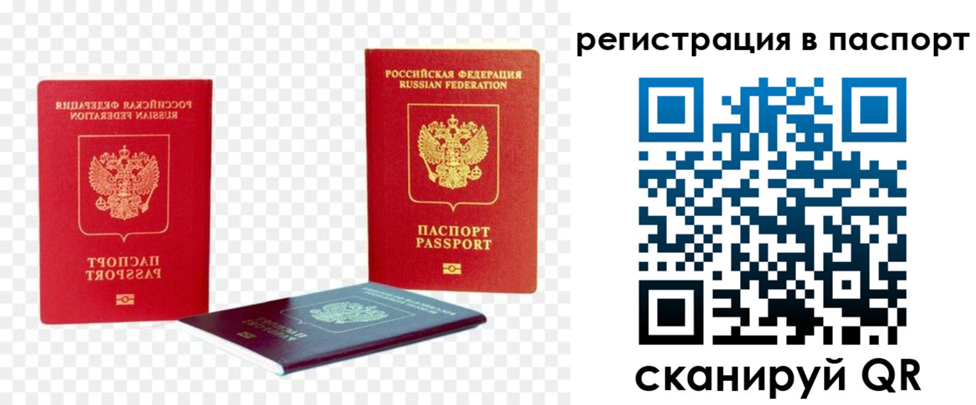 временная регистрация поиск в Жердевке